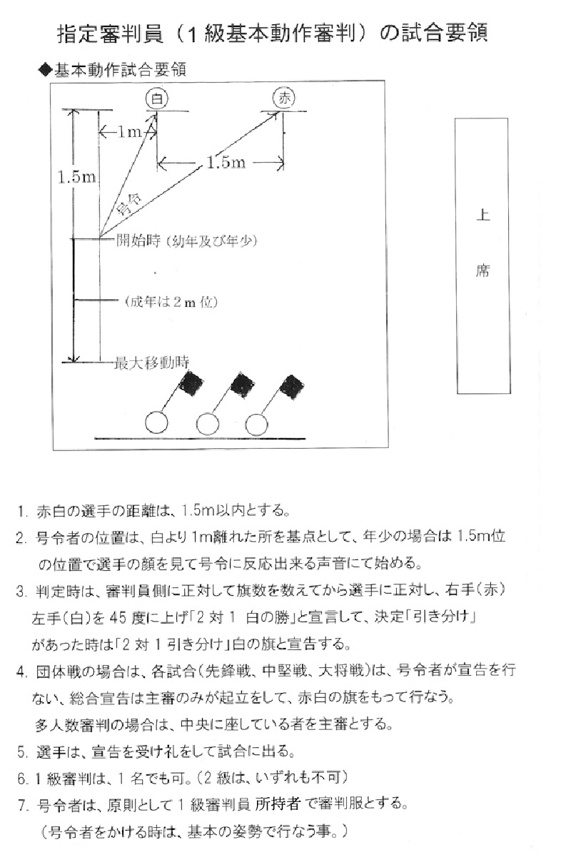 指定審判員の試合要領